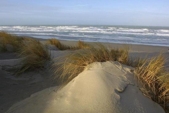 Cote Dune Le Crotoy Dış mekan fotoğraf